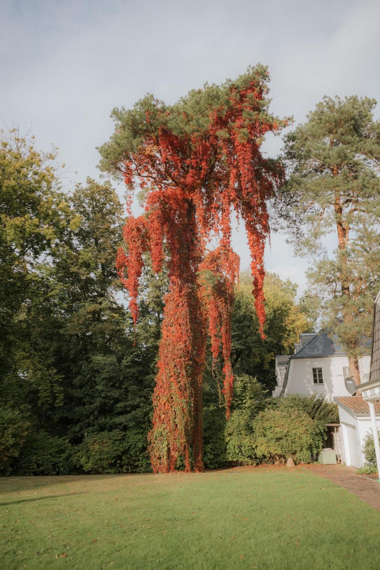 Nook X Seepalais Boutique Hotel Bad Saarow Exterior foto